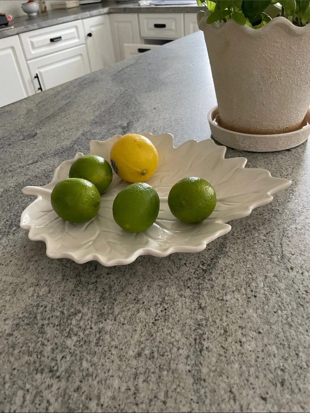 Leaf-Shaped Ceramic Serving Platter in Cream - Home Dining Serveware